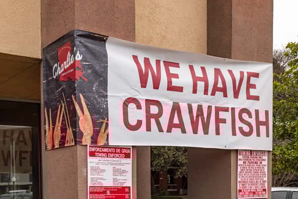 We Have Crawfish