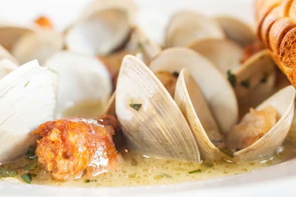 clams