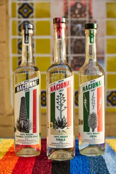 bottles of mezcal