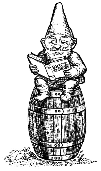 gnome reading