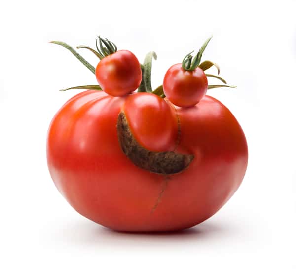 Happy Tomato