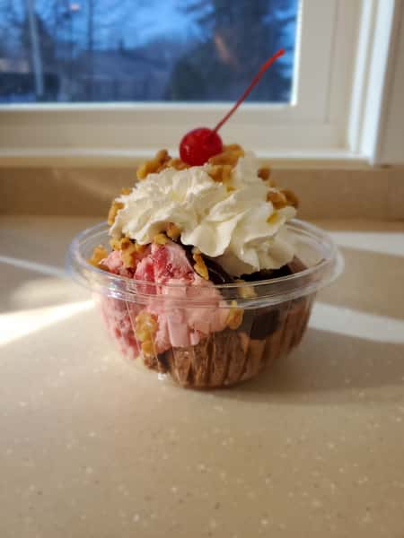Hot Fudge Sundae - Regular - 2 Scoops