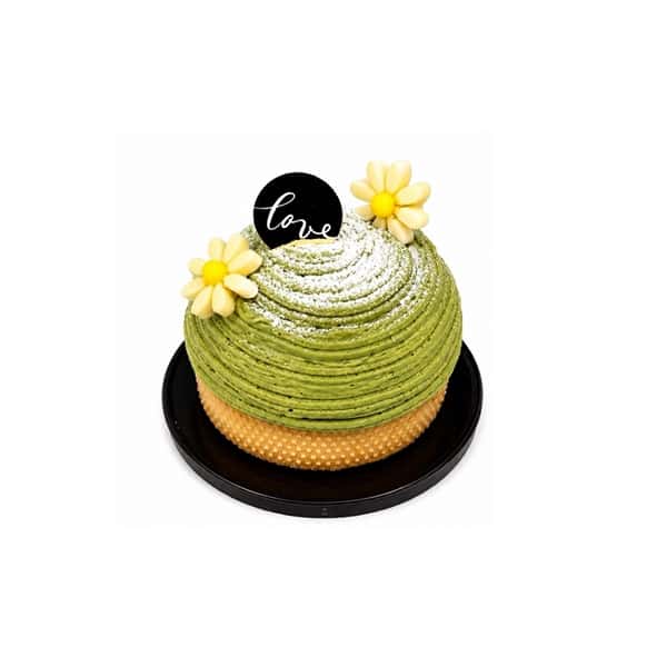 Piece Matcha Montblanc Cake