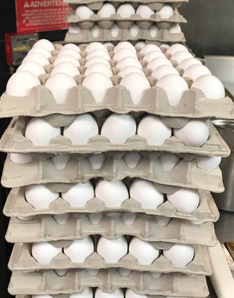 Side Egg