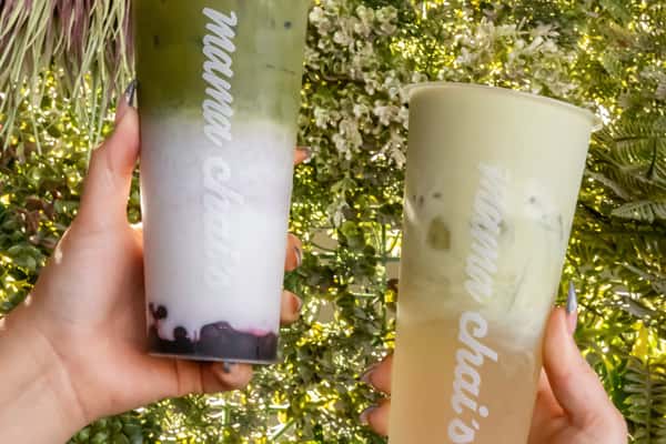 Hands holding Mama Chai's signature iced matcha latte with boba and a golden iced tea with cream against a lush green wall, highlighting the café's popular handcrafted drinks in a botanical, photogenic setting.