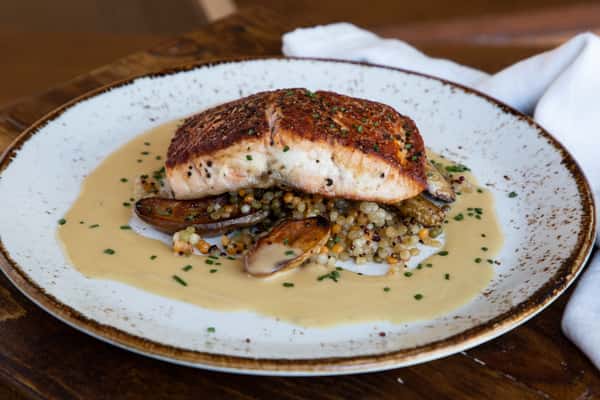 Salmon