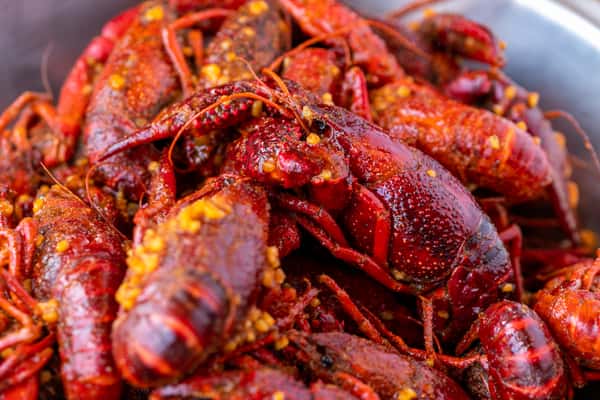crawfish