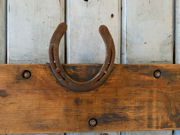 Horses shoe