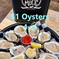 $1 Oyster Specials