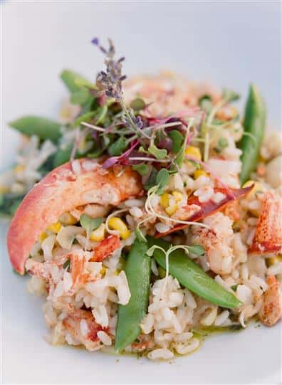 lobster pieces with rice and vegetables