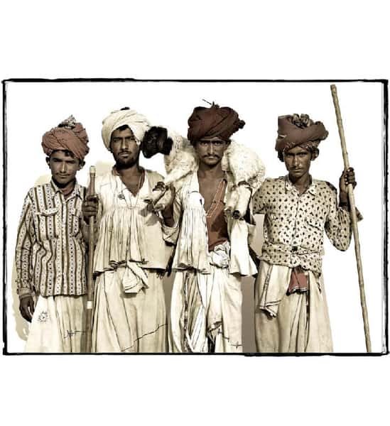 rohit work