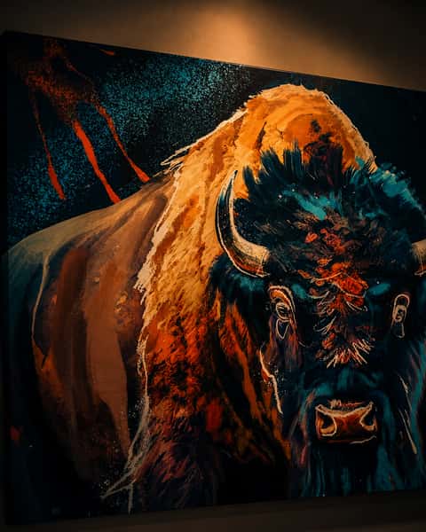 buffalo