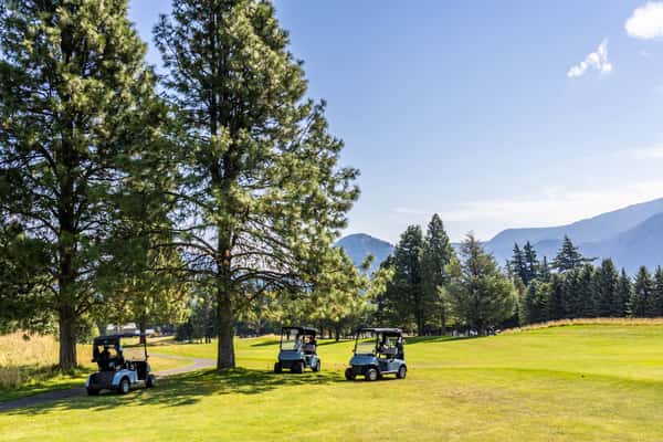 golf carts