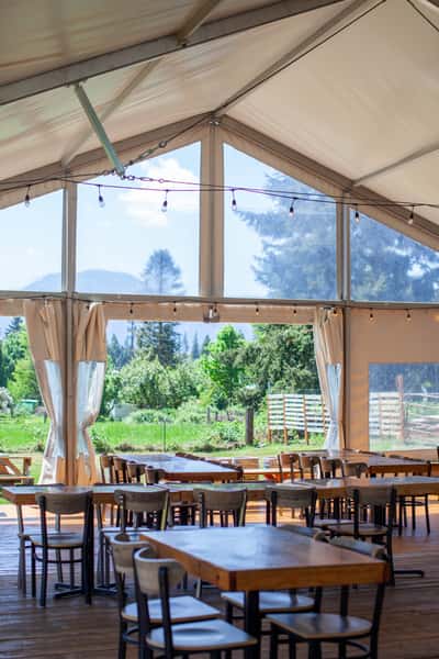 events tent in summer