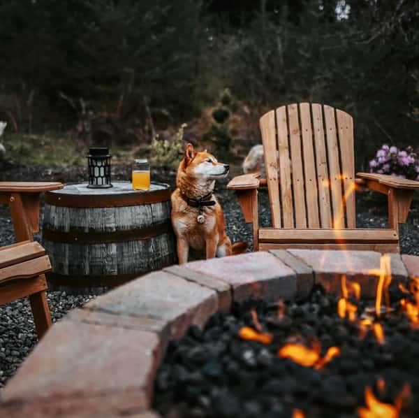 The Backwoods Cabins are pet friendly.