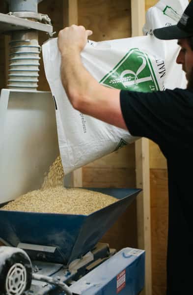pouring hops