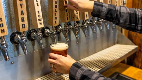 Taps at Backwoods Brewing