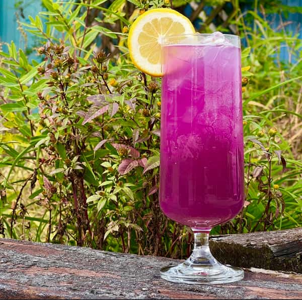 Voodoo Island