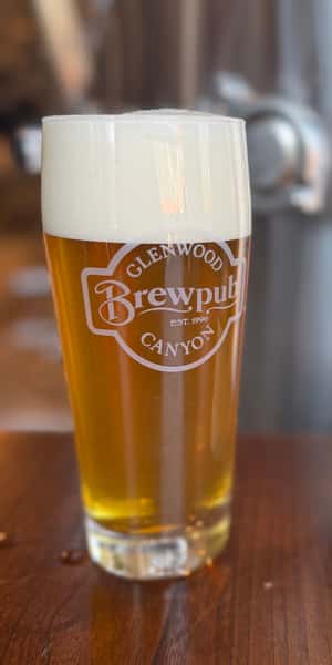 16 oz. Dance in the Desert NZ IPA