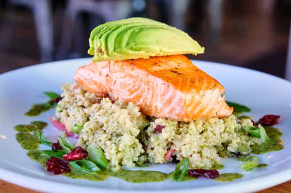 salmon