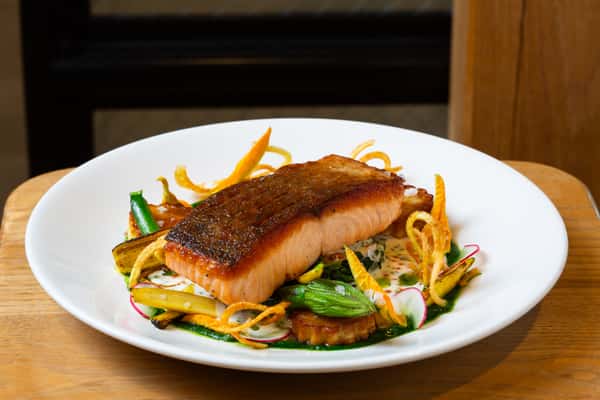 salmon