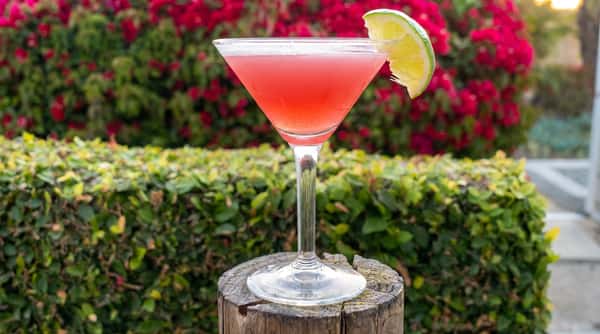 Pink cocktail in a martini glass with a lime wedge, sitting on a wooden post against a hedge of red and green bushes.