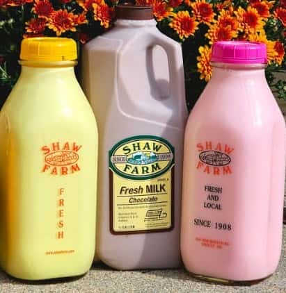 Chocolate Milk Large