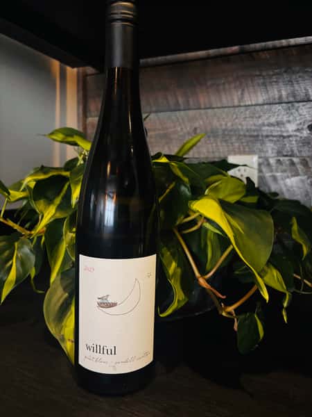 Willful Pinot Blanc Bottle