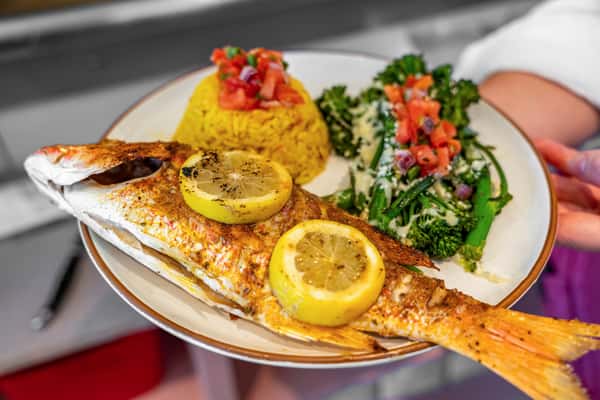 Red Snapper