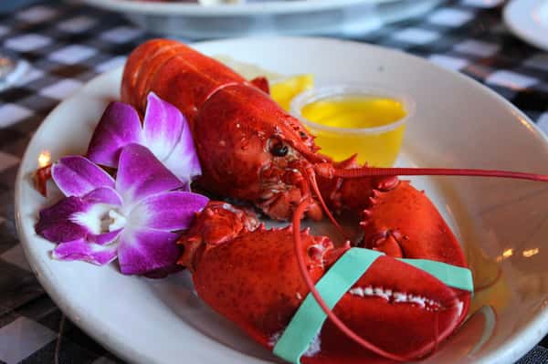 Single Steamed 1.25 Lobster Dinner