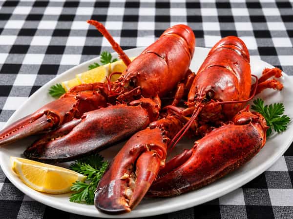 Twin Steamed 1.25 Lobster Dinner
