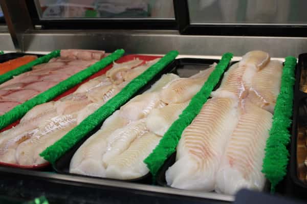 fishcase