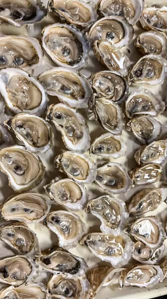 Oysters On the Half Shell
