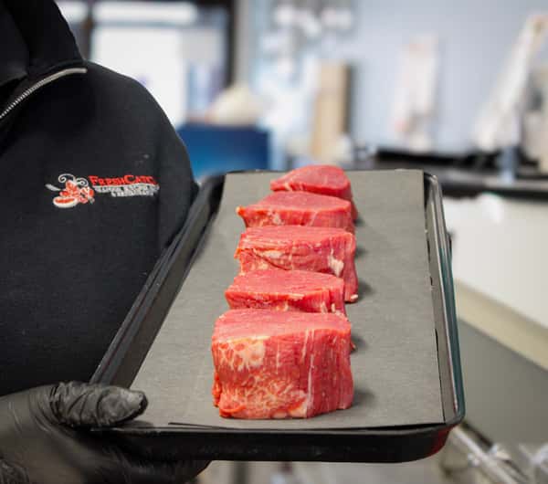 northfilet