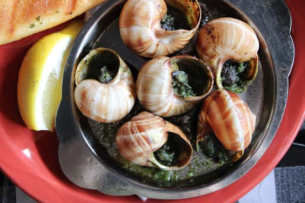 Escargot