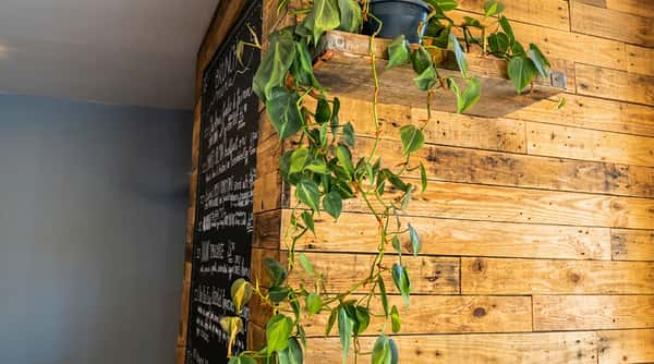 chalkboard menu decor