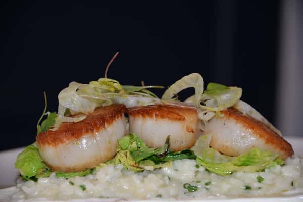 Maine Diver Scallops