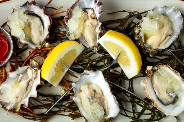 oysters