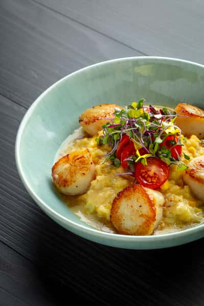 Scallops