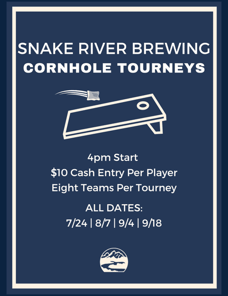 Flyer with cornhole board and bag