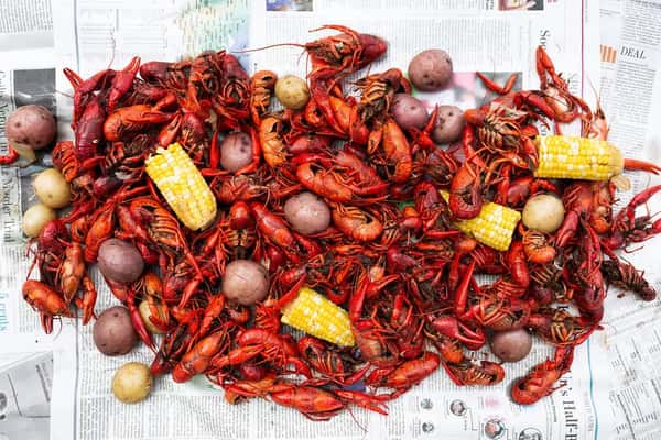 Boiled Crawfish