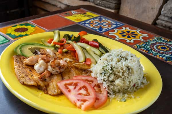 Tilapia