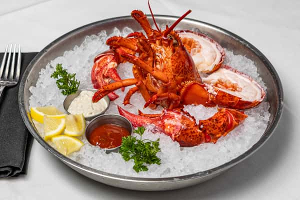 Maine Lobster