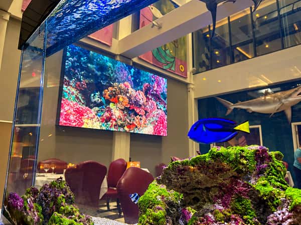 Splash Seafood Bar & Grill | Interior Video Wall