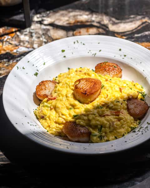 Scallop Venezia