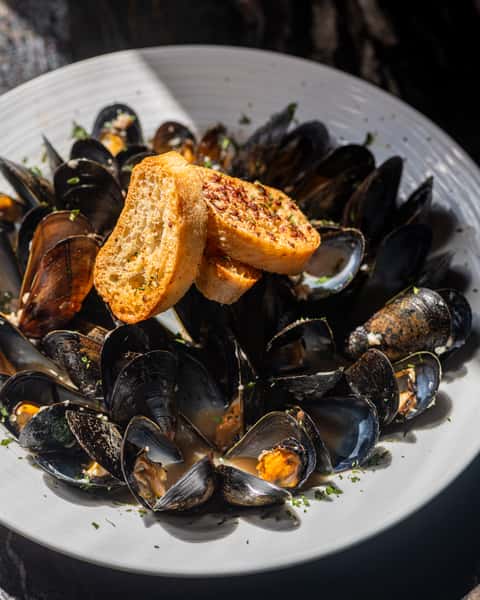 Zuppa Di Mussels