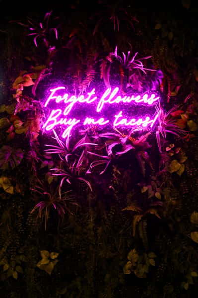 Neon pink sign reading "Forget flowers, buy me tacos!" glowing against a lush green plant wall background.