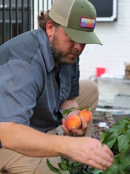 🍑☀️Peach Season is Here☀️🍑

Our courtyard Peach Tree was RIPE for picking & we took those right back to the kitchens:
🍕 @barndunwoody on our Peach, Bacon, Brie Flatbread
🥧 @stabledunwoody on our Peach Fruit Cobbler Dessert 

🍑Georgia Goodness, Right Here in Funwoody 🧡

#funwoody #eatfresh #dunwoody #atlrestaurants