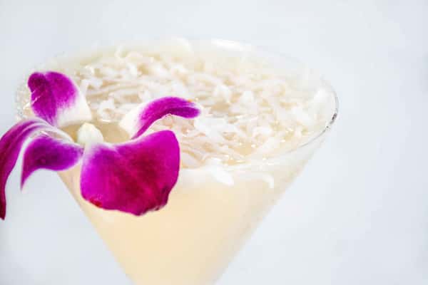 cocotini