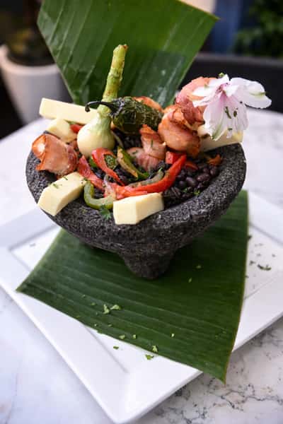 Dish